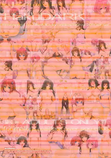 [Ishikei] HakuDARK Fhentai - Page 16