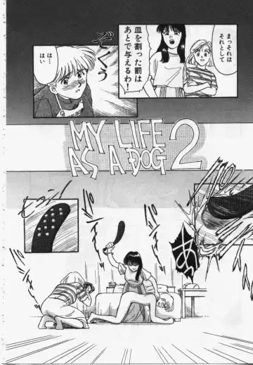 [Suehirogari] My Life As Fhentai - Page 149