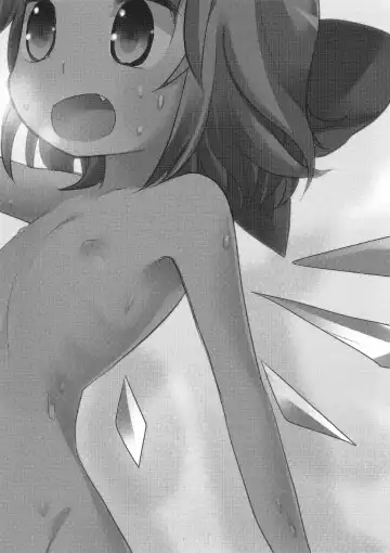 [Nukoo-sama] Cirno no Hoken Taiiku Fhentai - Page 2