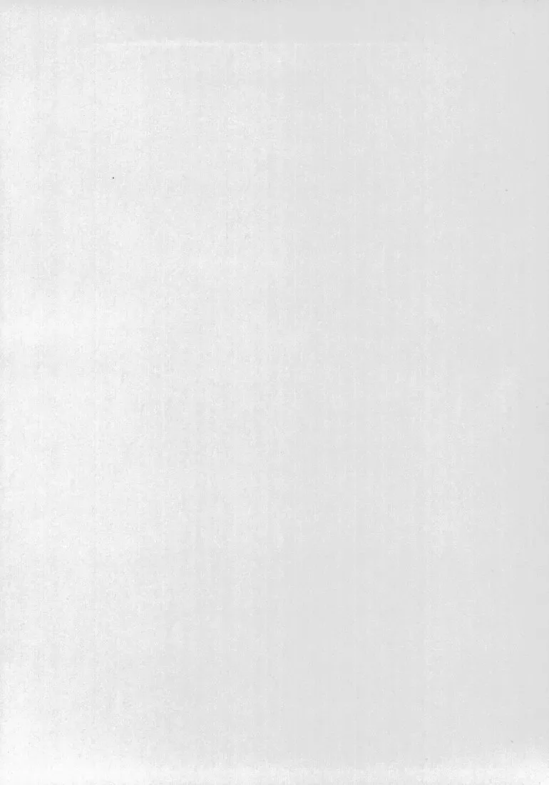 [Shamon] Lelouch to Rolo no Hanashi Fhentai - Page 2