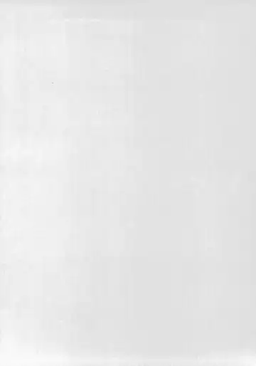 [Shamon] Lelouch to Rolo no Hanashi Fhentai - Page 2