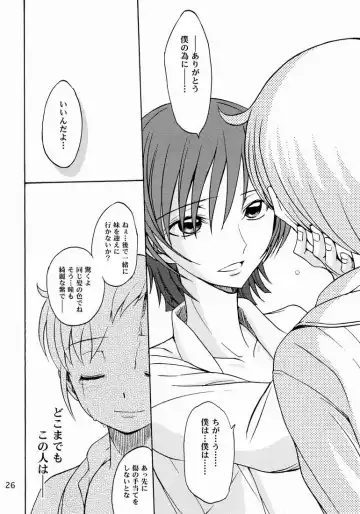 [Shamon] Lelouch to Rolo no Hanashi Fhentai - Page 26