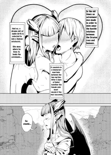 [Ahobaka] Ryuukainraku Fhentai - Page 2