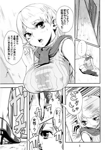 [Sgk] Ada no Ashley Choukyouki Fhentai - Page 2
