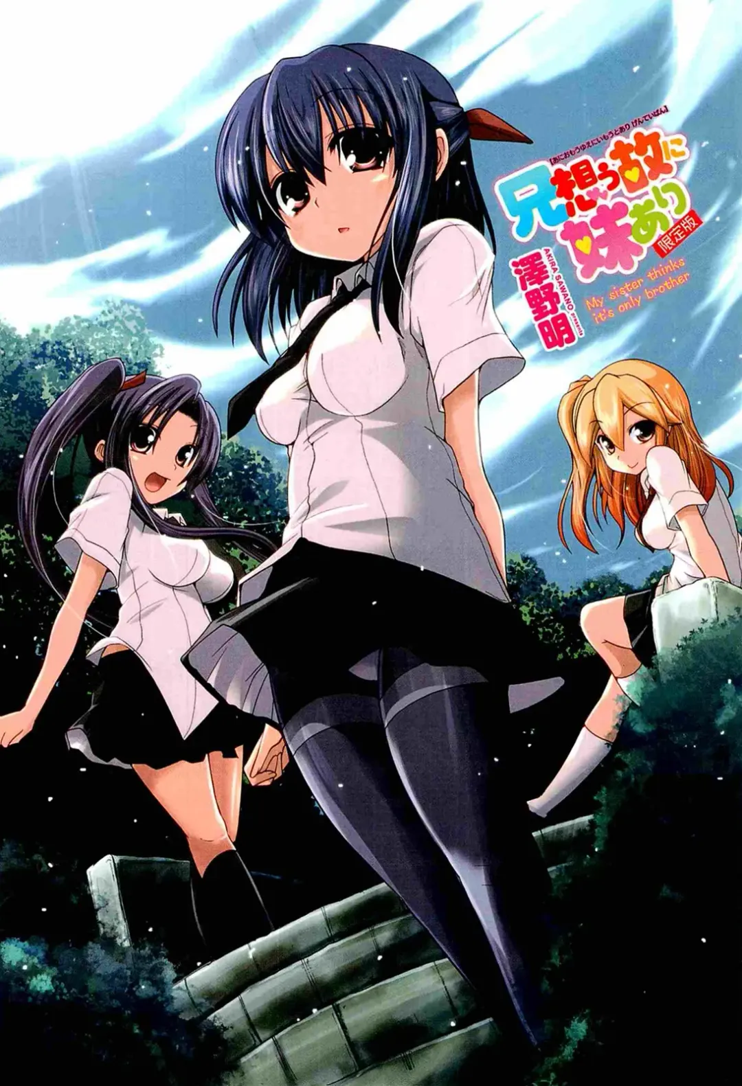 [Sawano Akira] Ani Omou Yue ni Imouto Ari Genteiban Fhentai - Page 3