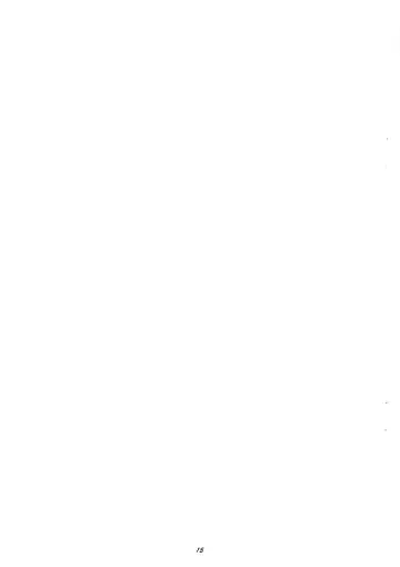 [Kitamimaki Kei] Amphibian Fhentai - Page 15