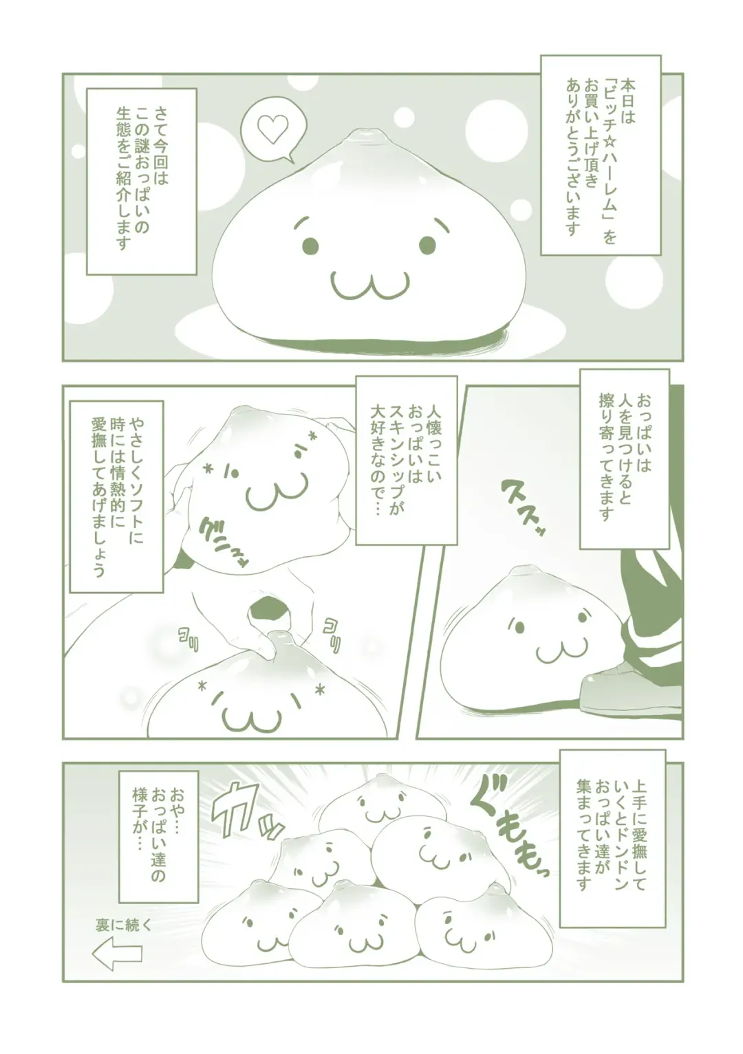 [Somejima] Bitch Harem Fhentai - Page 4