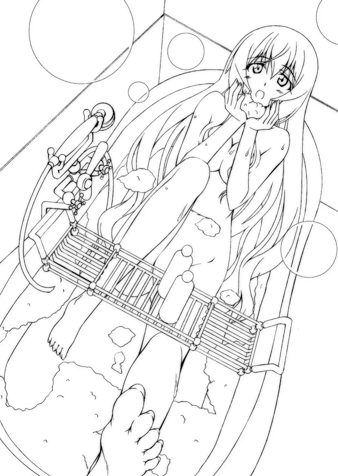 [Musasiya Chogenbo] Cecilia wa Ichika-san no Oyome-san! Fhentai - Page 2