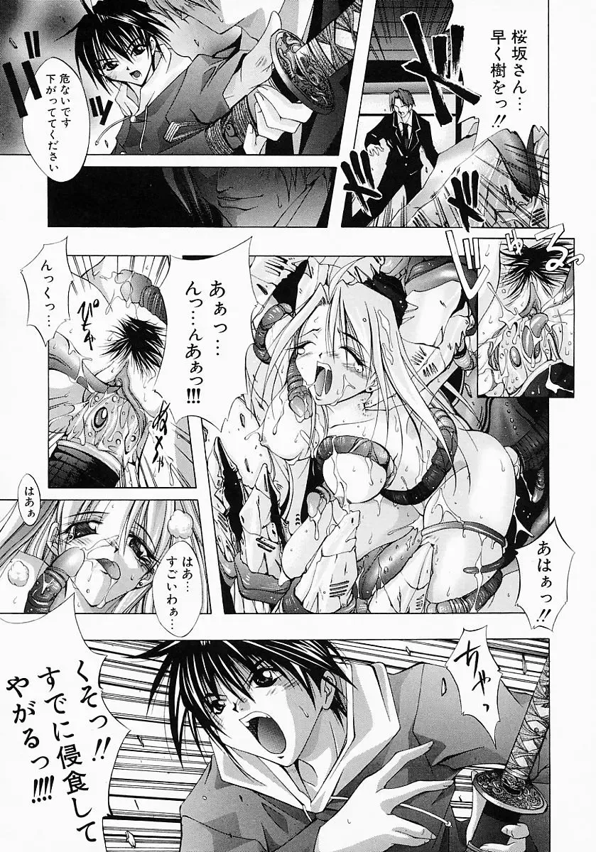 [Inui Sekihiko] Fiesta!! Fhentai - Page 38