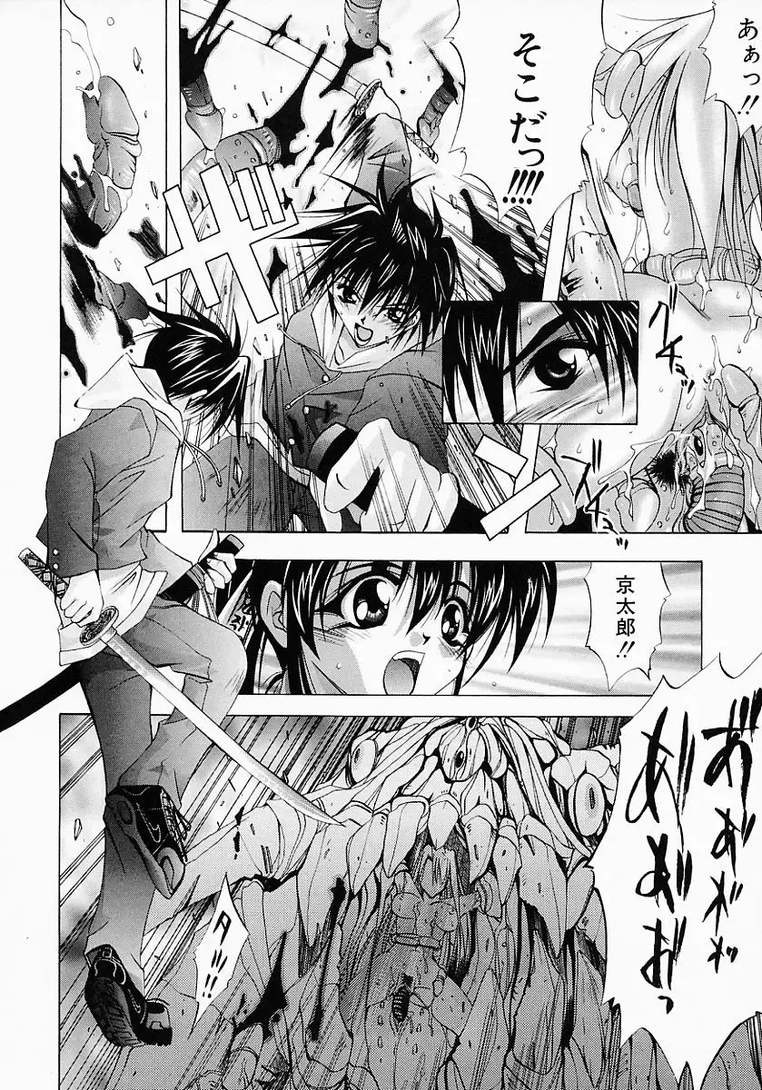 [Inui Sekihiko] Fiesta!! Fhentai - Page 39