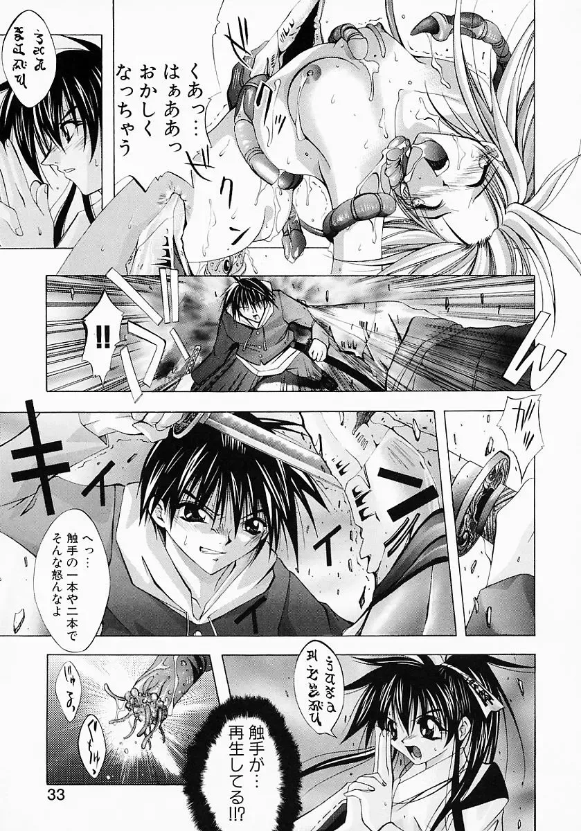 [Inui Sekihiko] Fiesta!! Fhentai - Page 40
