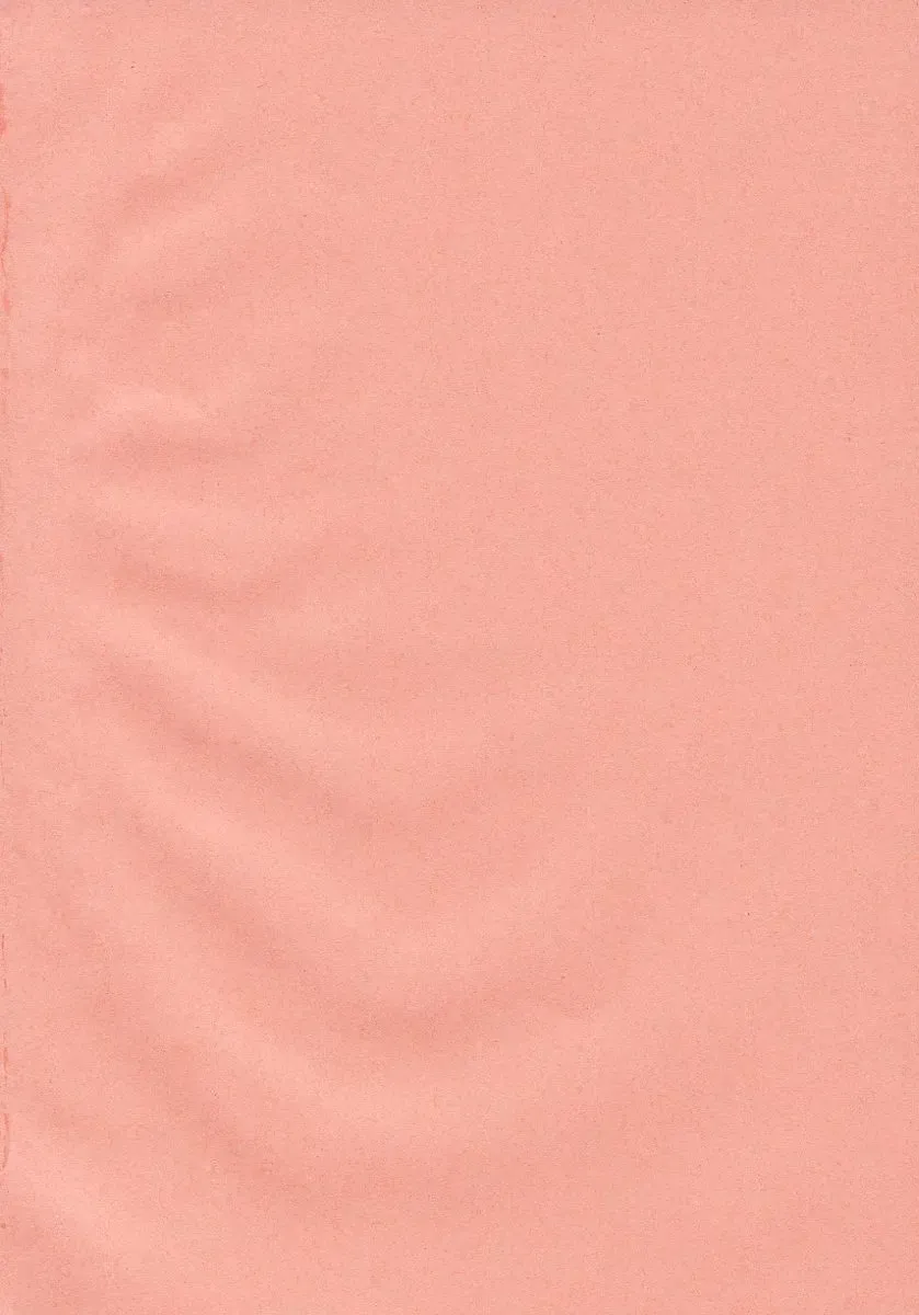 [Inui Sekihiko] Fiesta!! Fhentai - Page 9