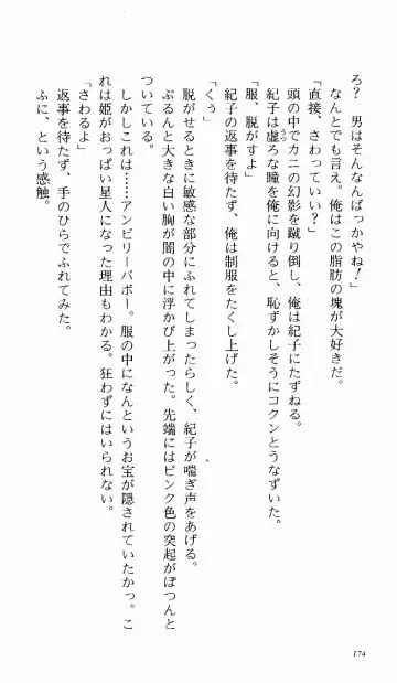 [Denki Shougun] Tsuyokiss Bangaihen 1 - Nagomi no Christmas Fhentai - Page 180