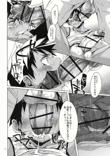 [Hazaki] Yanchagata Gatenkei Fhentai - Page 14
