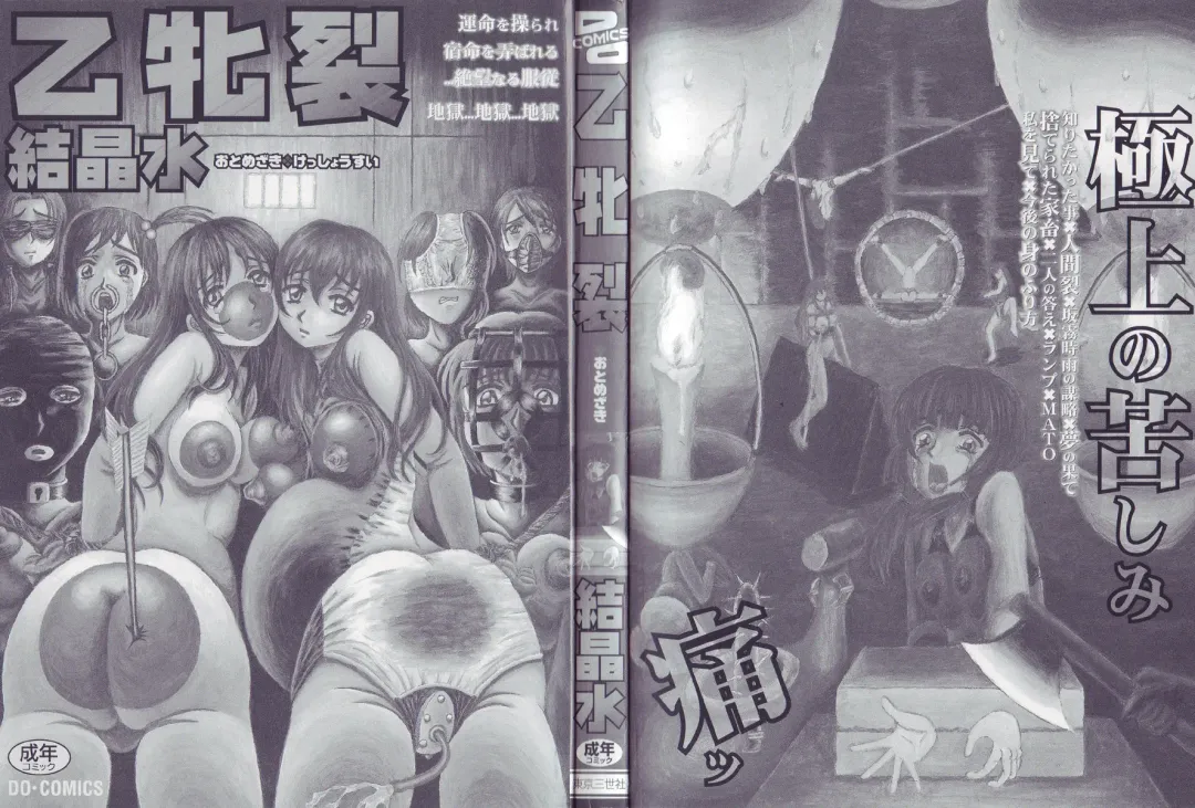 [Kesshousui] Otome Zaki Fhentai - Page 2