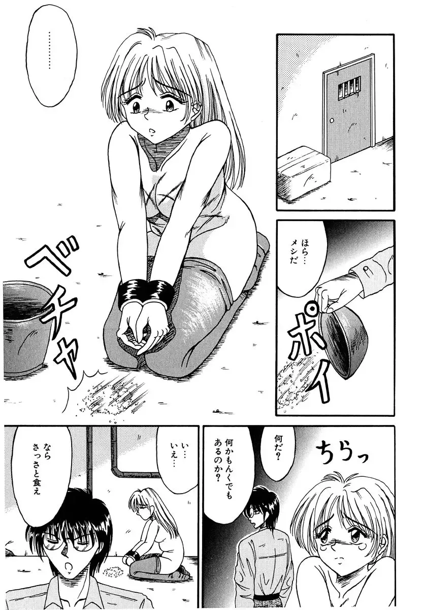 [Kesshousui] Otome no Seikanritsu Fhentai - Page 22