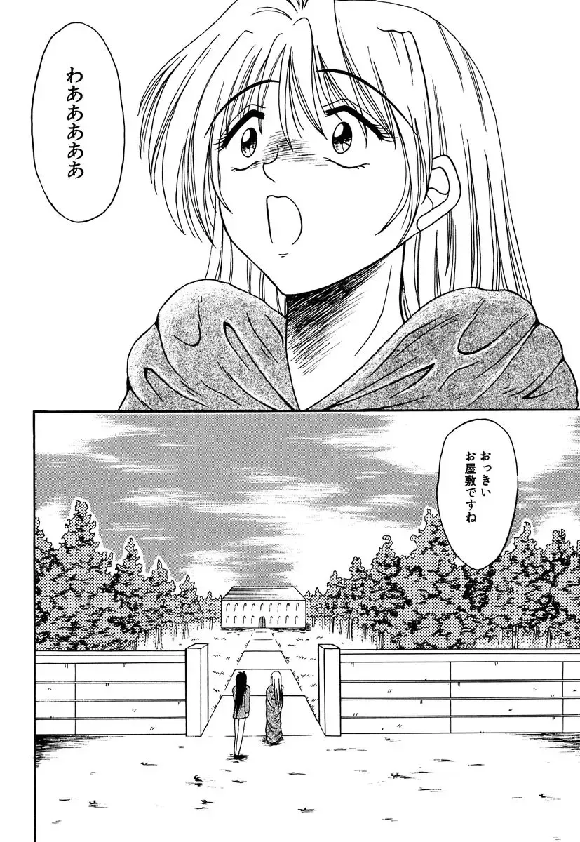 [Kesshousui] Otome no Seikanritsu Fhentai - Page 65