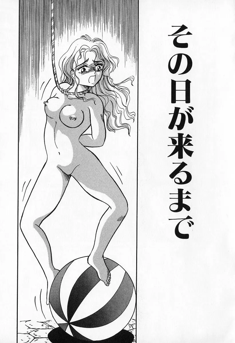 [Kesshousui] Otome no Negai Fhentai - Page 118