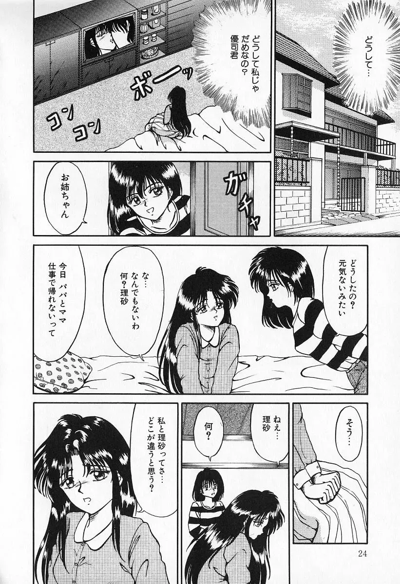 [Kesshousui] Otome no Negai Fhentai - Page 25