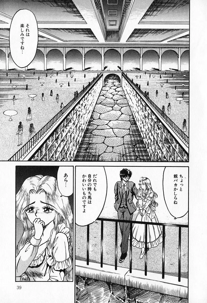 [Kesshousui] Otome no Negai Fhentai - Page 40