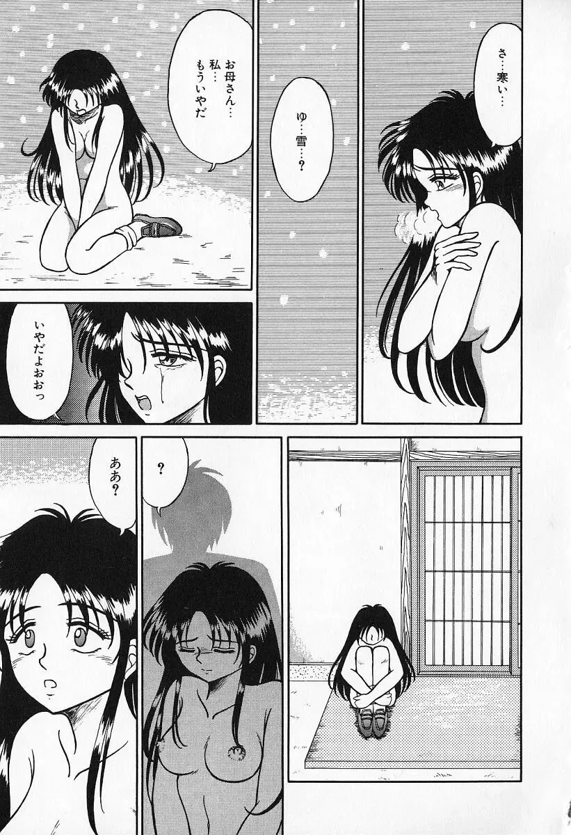 [Kesshousui] Otome no Negai Fhentai - Page 78