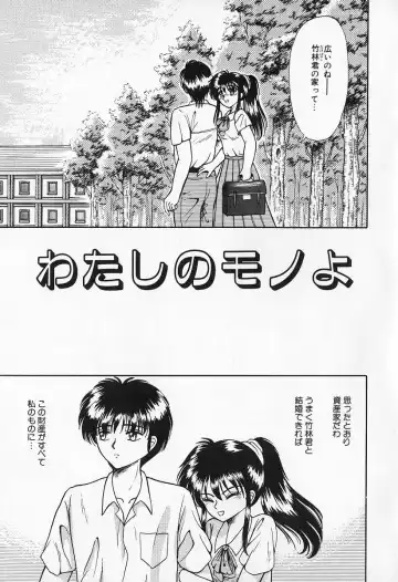 [Kesshousui] Otome no Negai Fhentai - Page 54