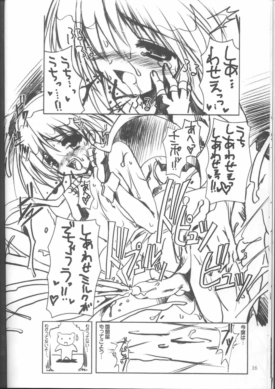 [Misakura Nankotsu] Kumahime Soul Fhentai - Page 15