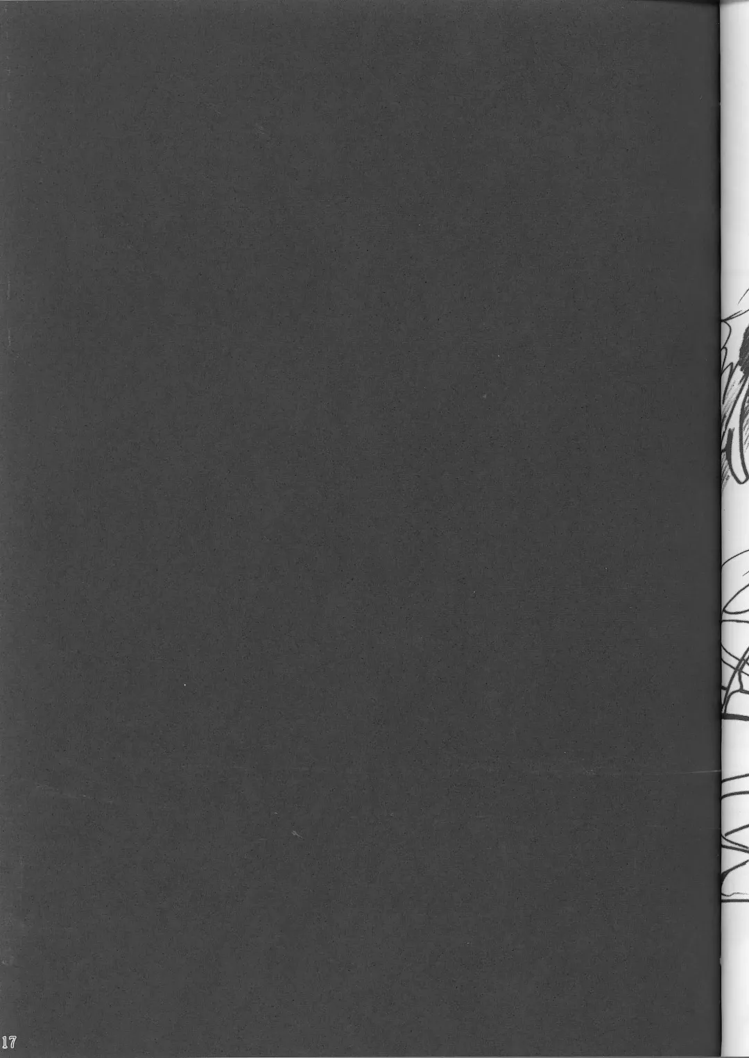 [Misakura Nankotsu] Kumahime Soul Fhentai - Page 16