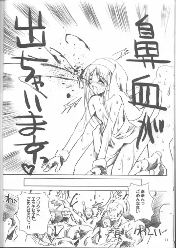 [Misakura Nankotsu] Kumahime Soul Fhentai - Page 13