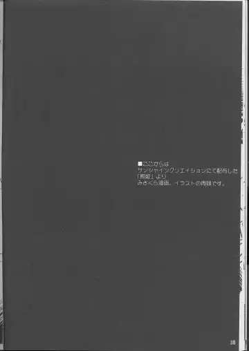 [Misakura Nankotsu] Kumahime Soul Fhentai - Page 17