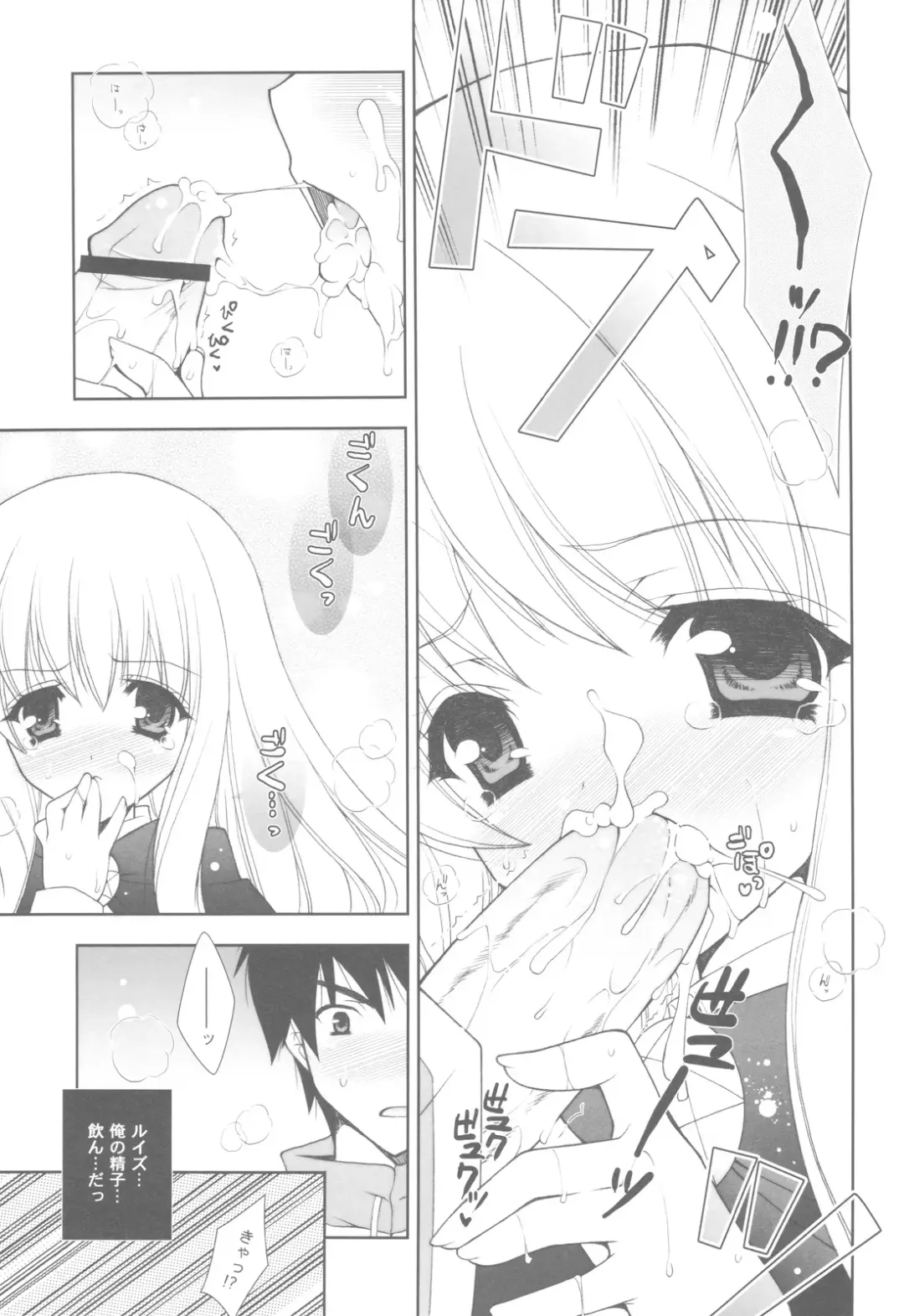 [Shigunyan] Zero no Tsukaima Soushuuhen Fhentai - Page 10