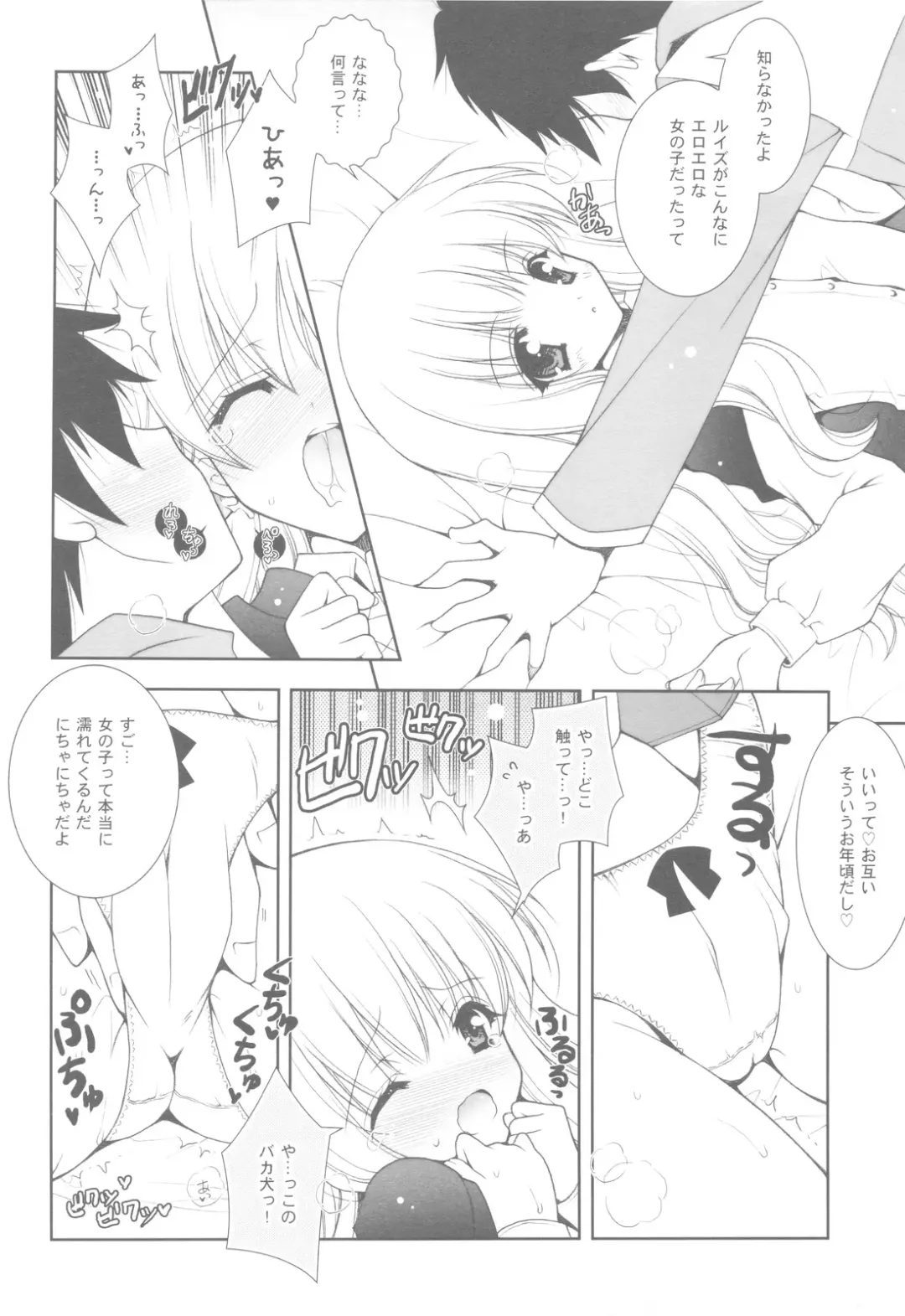 [Shigunyan] Zero no Tsukaima Soushuuhen Fhentai - Page 11