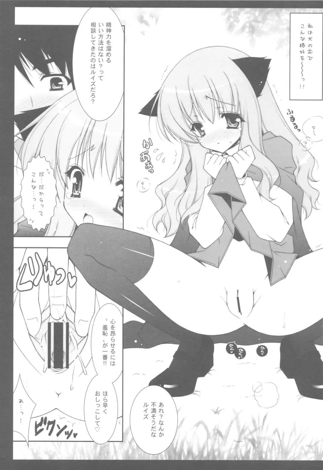 [Shigunyan] Zero no Tsukaima Soushuuhen Fhentai - Page 73