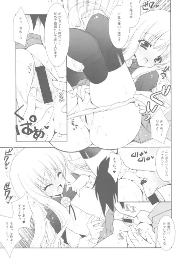 [Shigunyan] Zero no Tsukaima Soushuuhen Fhentai - Page 12