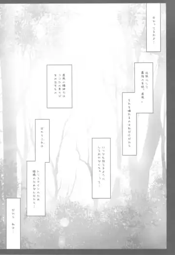 [Shigunyan] Zero no Tsukaima Soushuuhen Fhentai - Page 72