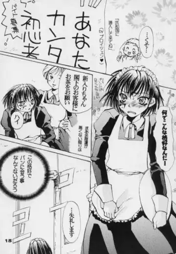 [Toumei Mieru] flower Fhentai - Page 14