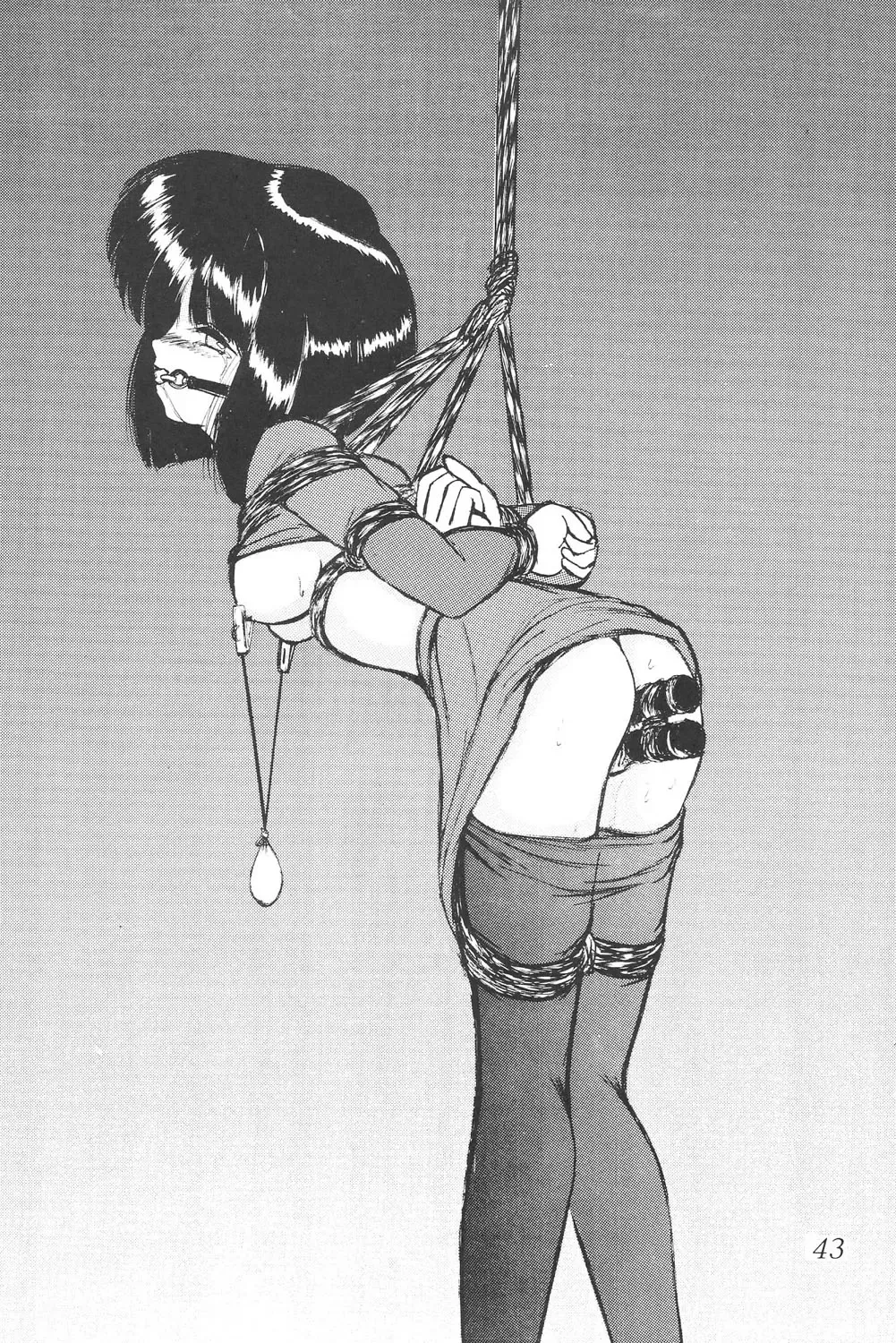 Silent Saturn SS Vol. 6 Fhentai - Page 43