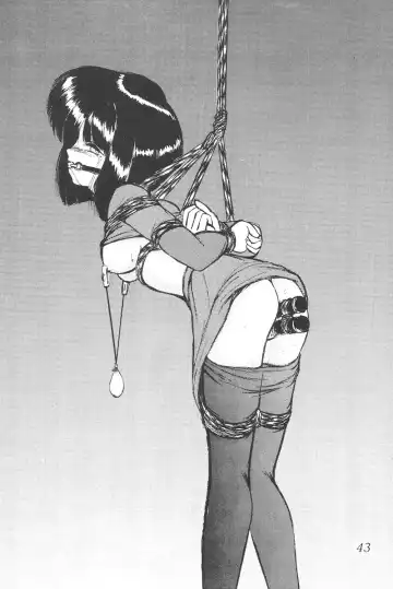 Silent Saturn SS Vol. 6 Fhentai - Page 43