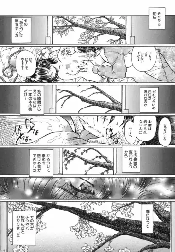 [Urashima Reiji] Come to My Bedside Fhentai - Page 53