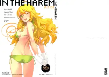 Read [Oyari Ashito] IN THE HAREM A SIDE - Fhentai