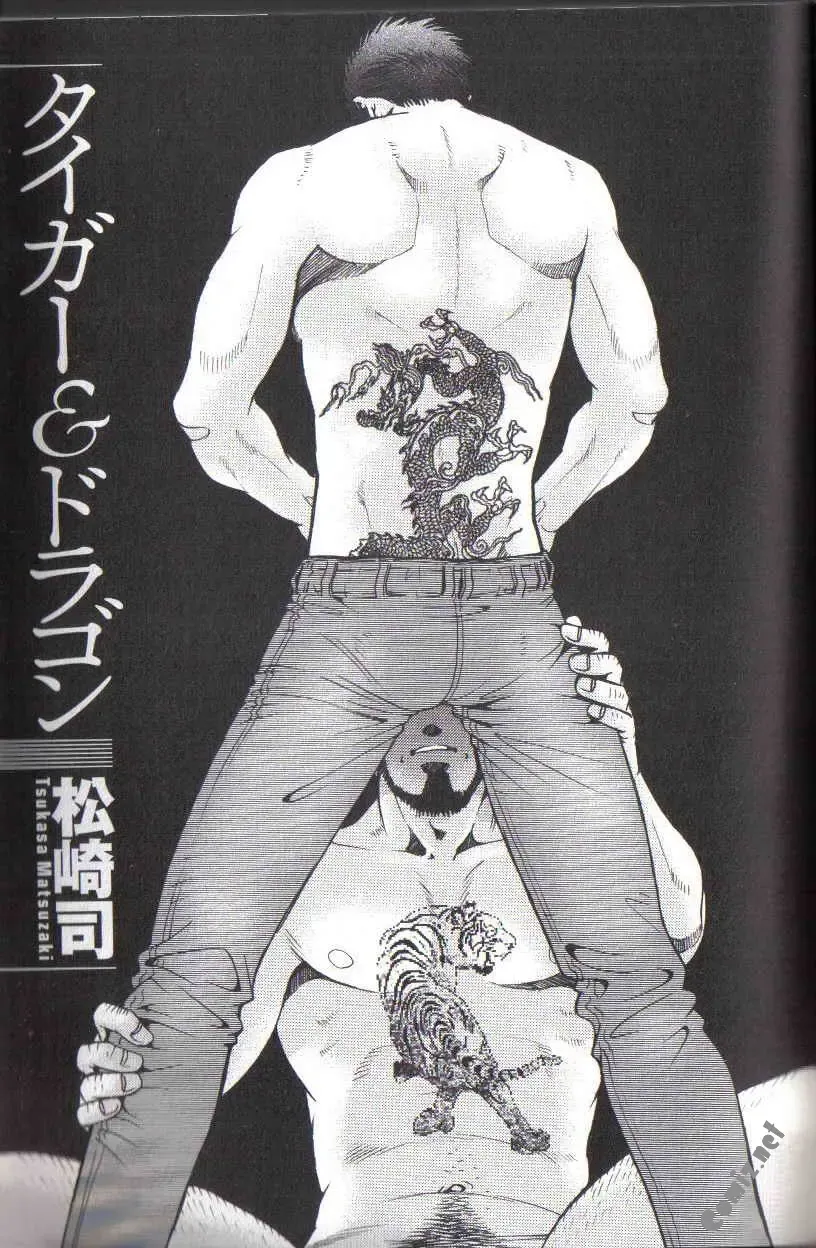 [Matsuzaki Tsukasa] The Tiger And The Dragon Fhentai - Page 1