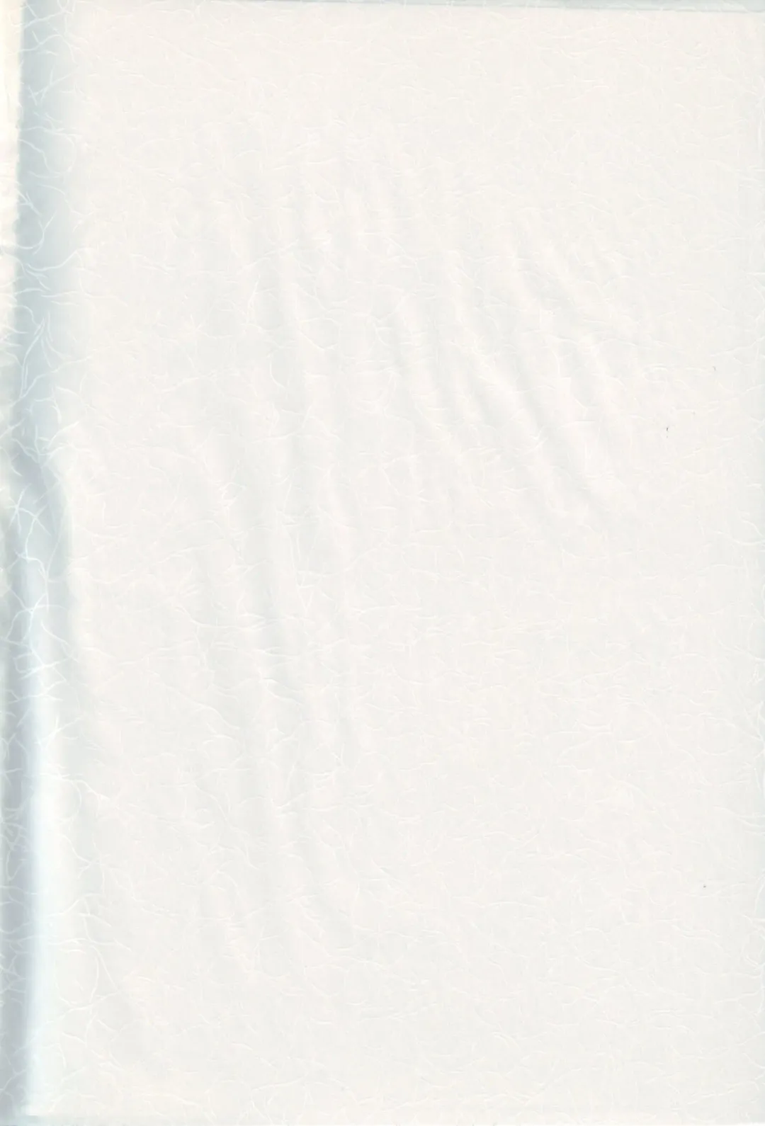 [Kawarajima Koh] Nouveis Logic Fhentai - Page 3