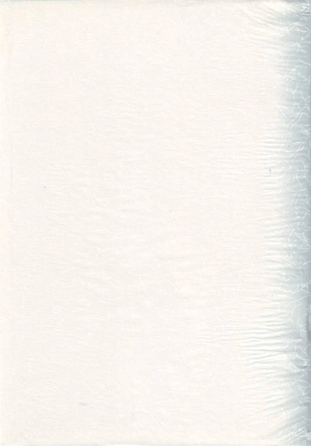 [Kawarajima Koh] Nouveis Logic Fhentai - Page 52