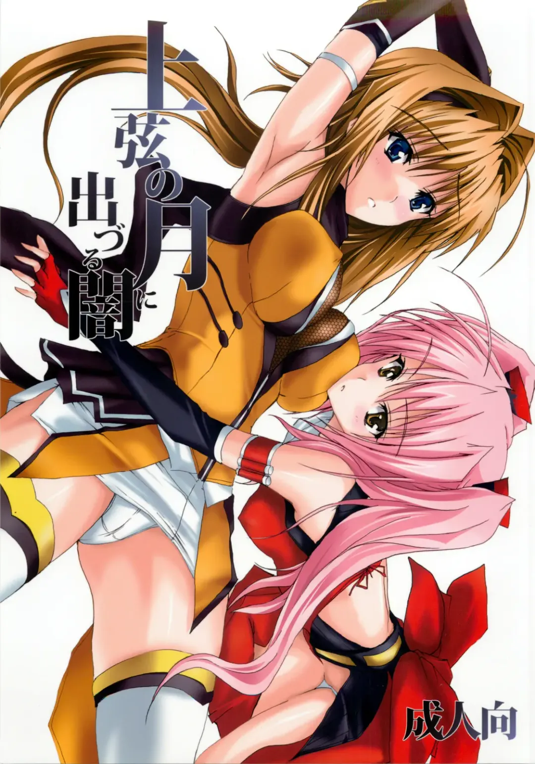 [Noba] Juugen no Tsuki no Izuru Yami Fhentai - Page 2