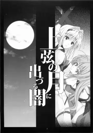 [Noba] Juugen no Tsuki no Izuru Yami Fhentai - Page 3