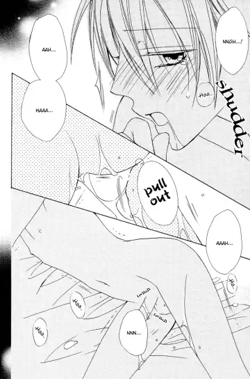 [Minami Haruka] Love Pet Fhentai - Page 24