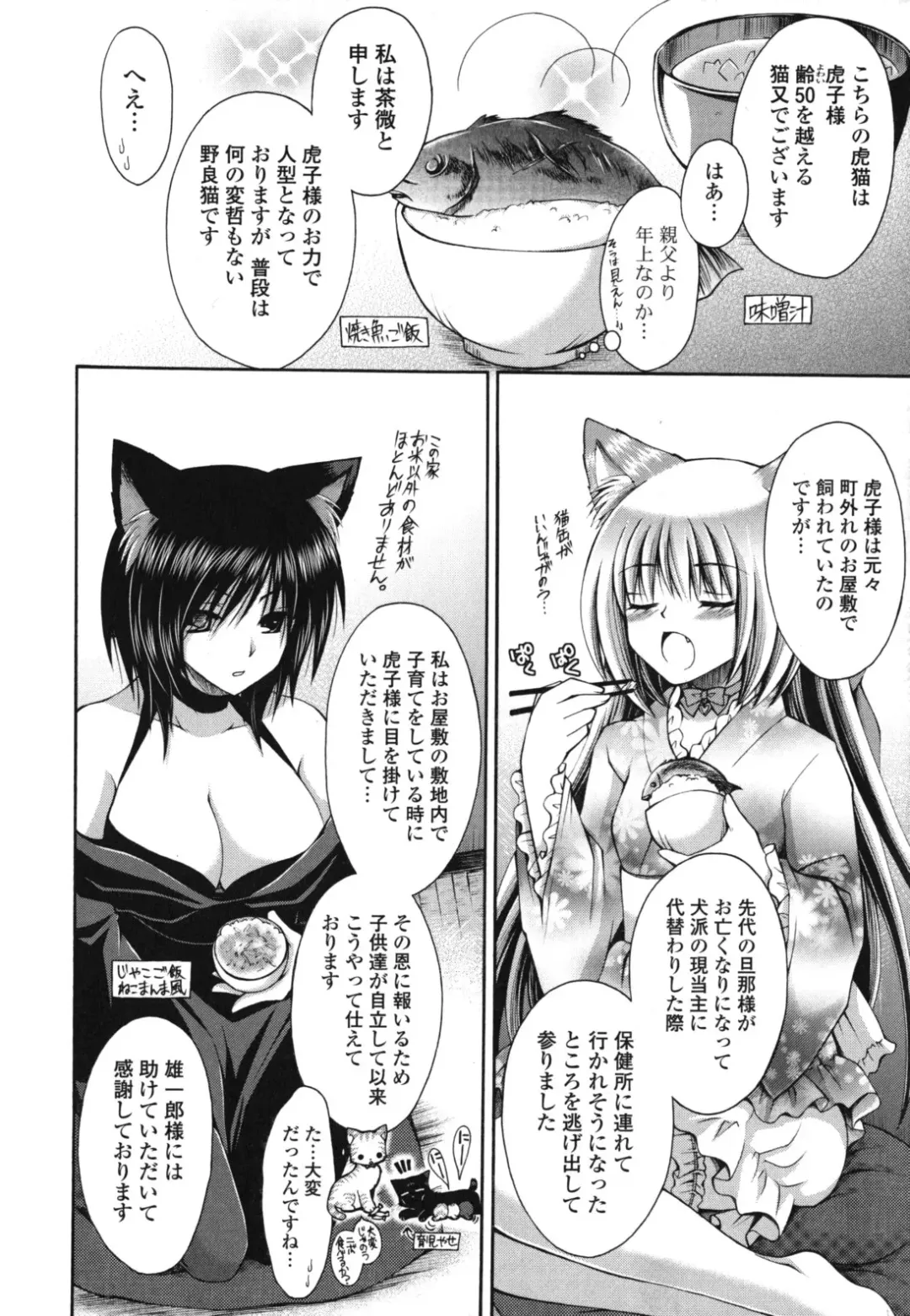 [Cesar] Otome Kaikinbi Fhentai - Page 13