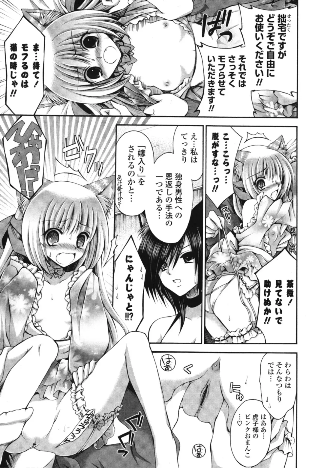 [Cesar] Otome Kaikinbi Fhentai - Page 16