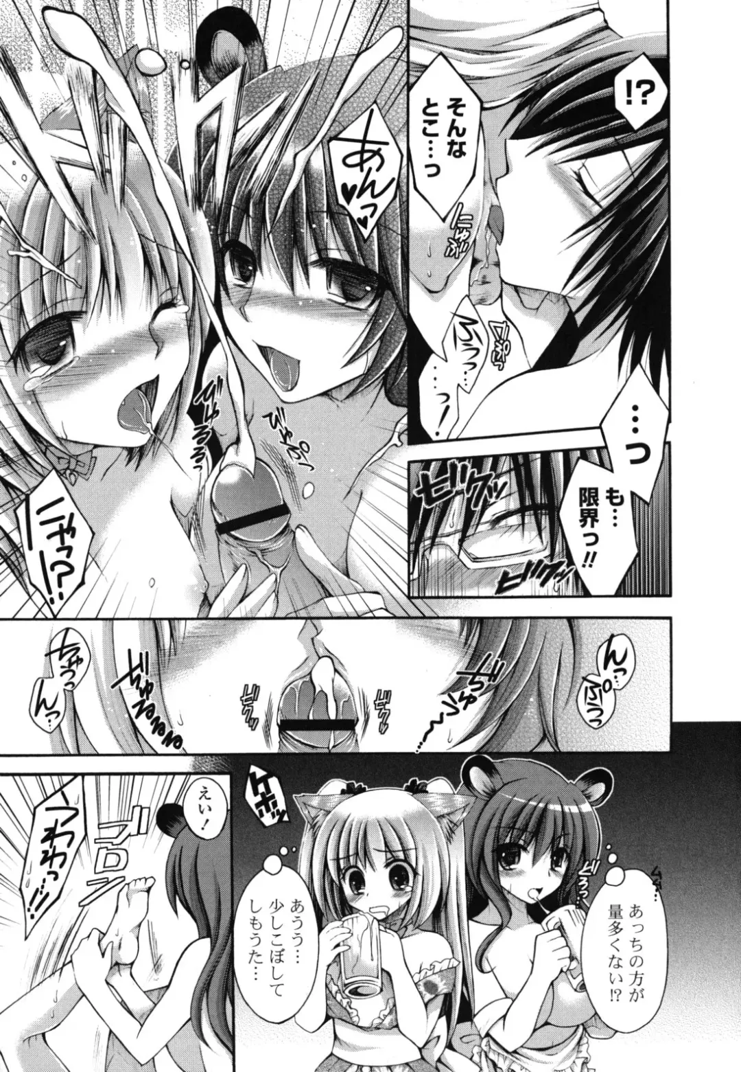 [Cesar] Otome Kaikinbi Fhentai - Page 62