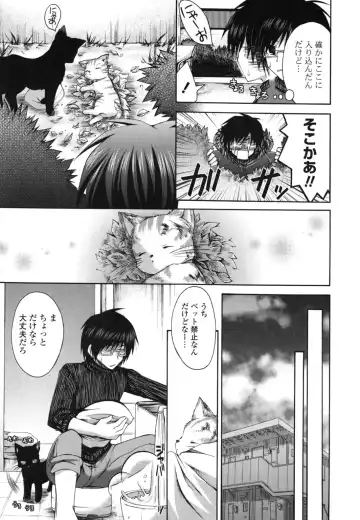 [Cesar] Otome Kaikinbi Fhentai - Page 10